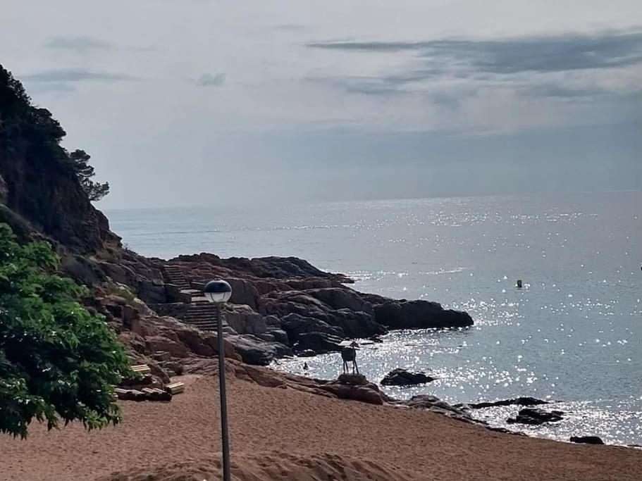 Cala Salions Balandro II Tossa De Mar Appartement Canet De Mar Buitenkant foto