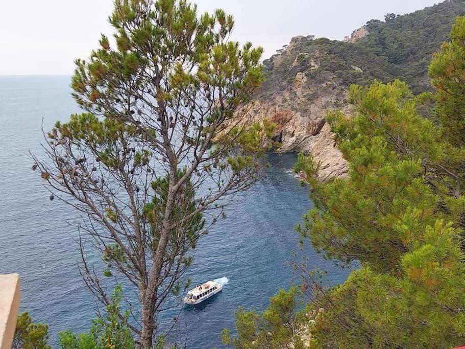 Cala Salions Balandro II Tossa De Mar Appartement Canet De Mar Buitenkant foto