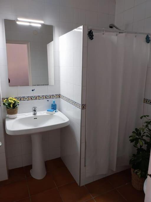 Cala Salions Balandro II Tossa De Mar Appartement Canet De Mar Buitenkant foto