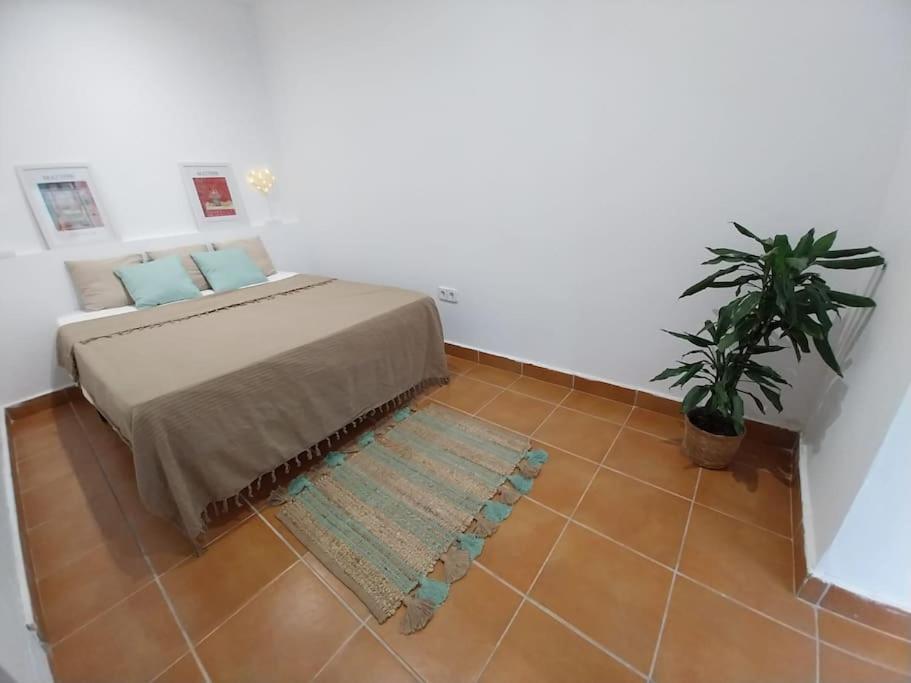 Cala Salions Balandro II Tossa De Mar Appartement Canet De Mar Buitenkant foto