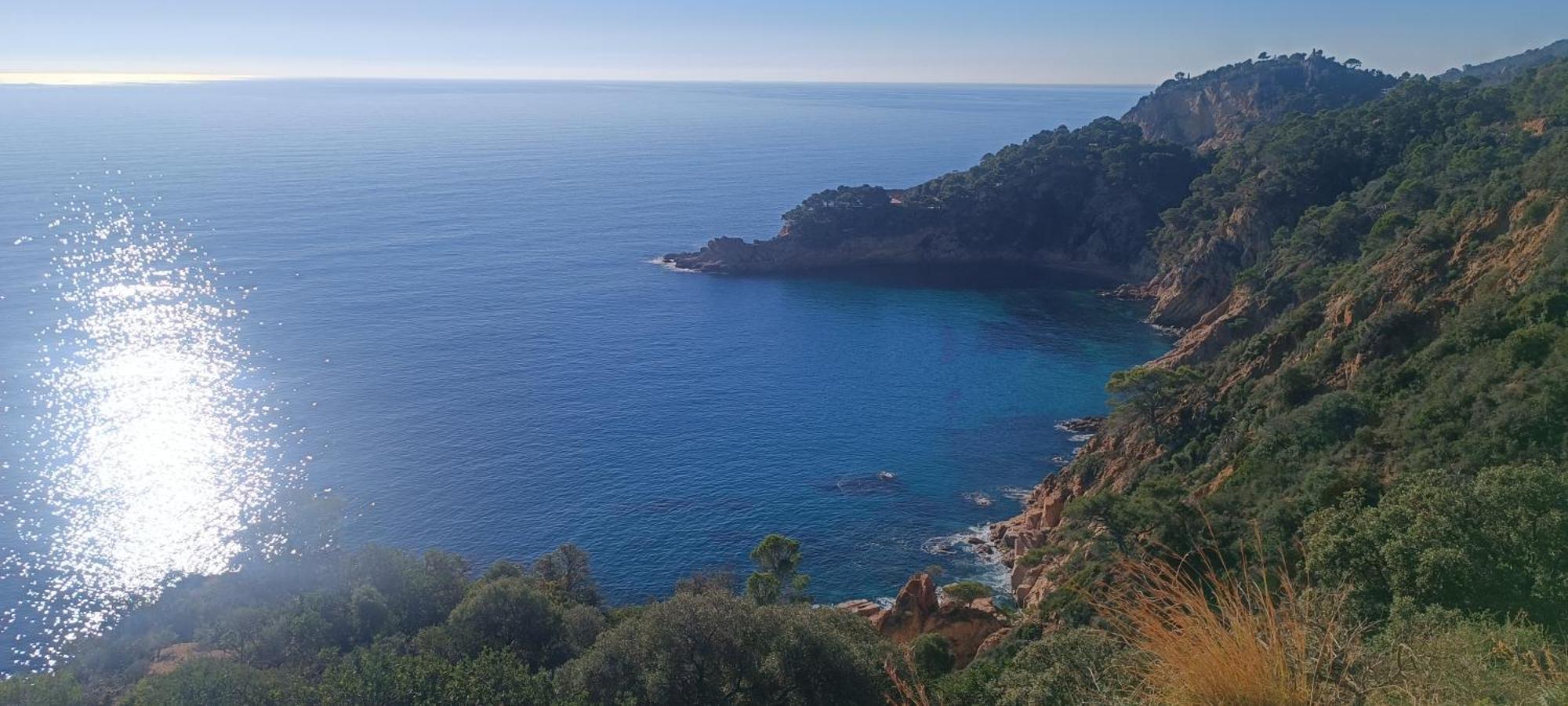 Cala Salions Balandro II Tossa De Mar Appartement Canet De Mar Buitenkant foto